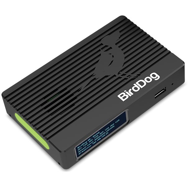 BirdDog 4K HDMI 2 canali 3840 x 2160 Pixel