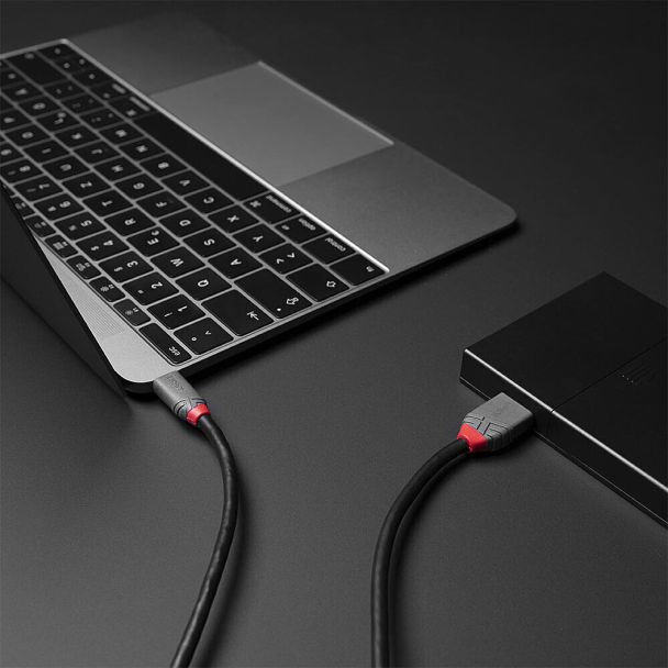 Lindy 36620 cavo USB USB 3.2 Gen 1 (3.1 Gen 1) 0,5 m USB C Micro-USB B Nero