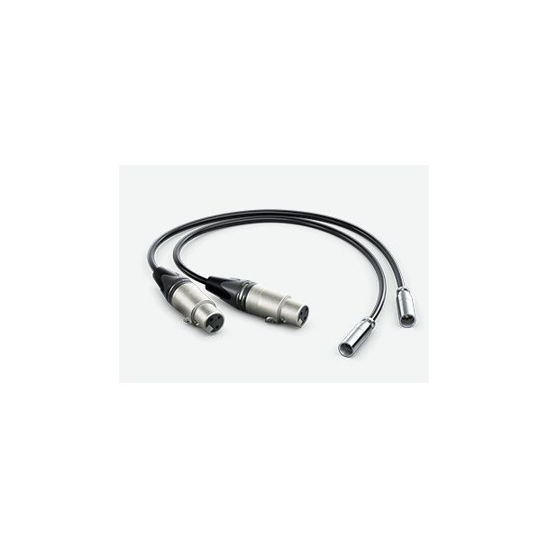 Blackmagic Design HYPERD/AXLRMINI2 audio cable 0.495 m mini XLR (3-pin) XLR (3-pin) Black