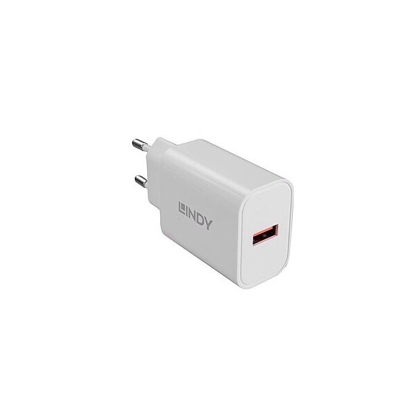 Lindy 73412 Caricabatterie per dispositivi mobili Smartphone, Tablet Bianco AC Ricarica rapida Interno, Esterno