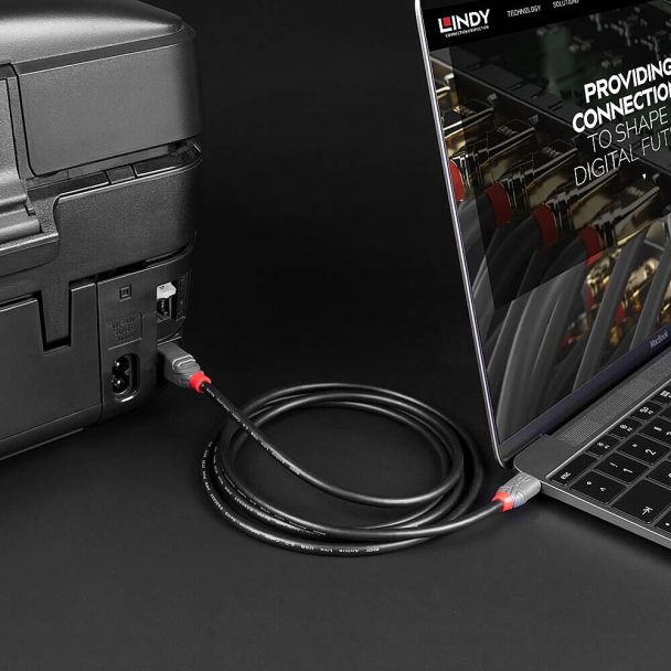 Lindy 36941 cavo USB USB 2.0 1 m USB C USB B Nero