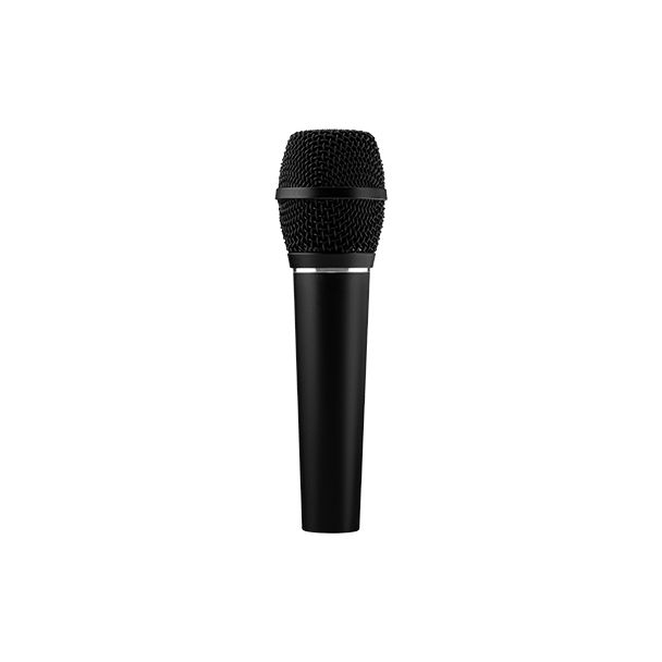 Earthworks SR117 microphone Black Stage/performance microphone