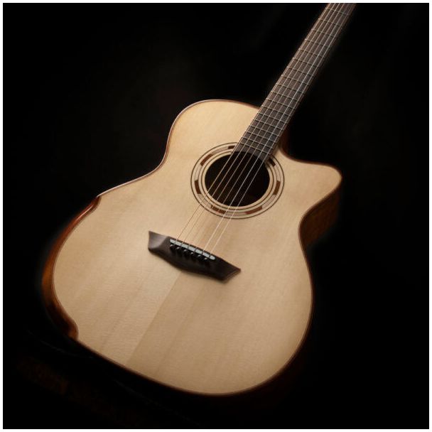 Washburn Guitars Comfort Acoustic-electric guitar 6 strings Wood