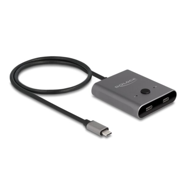 DeLOCK 11500 interface hub USB 3.2 Gen 2 (3.1 Gen 2) Type-C 10000 Mbit/s Grey
