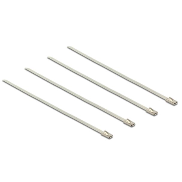 DeLOCK 18631 fascetta Acciaio inox 20 pz