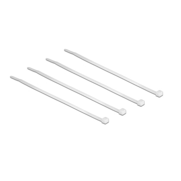 DeLOCK 18605 fascetta Nylon 100 pz