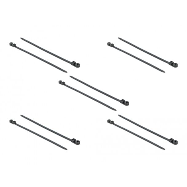 DeLOCK 18953 fascetta Fascetta con inserimento in parallelo Poliammide Nero 10 pz