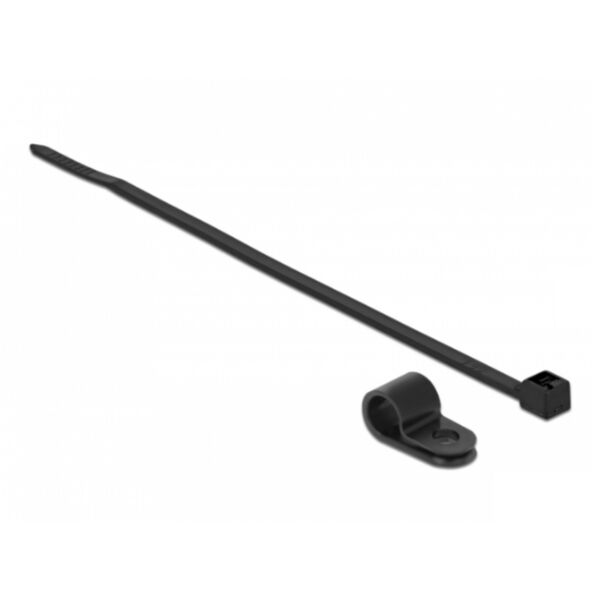 DeLOCK 18866 fascetta Fascetta per montaggio a vite Nylon Nero 10 pz