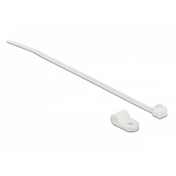 DeLOCK 18861 fascetta Fascetta per montaggio a vite Nylon Bianco 10 pz