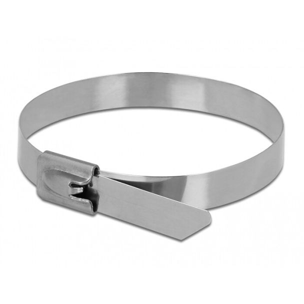 DeLOCK 18775 fascetta Releasable cable tie Acciaio inox 10 pz