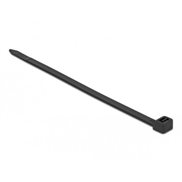 DeLOCK 19634 fascetta Fascetta per scala Nylon Nero 10 pz