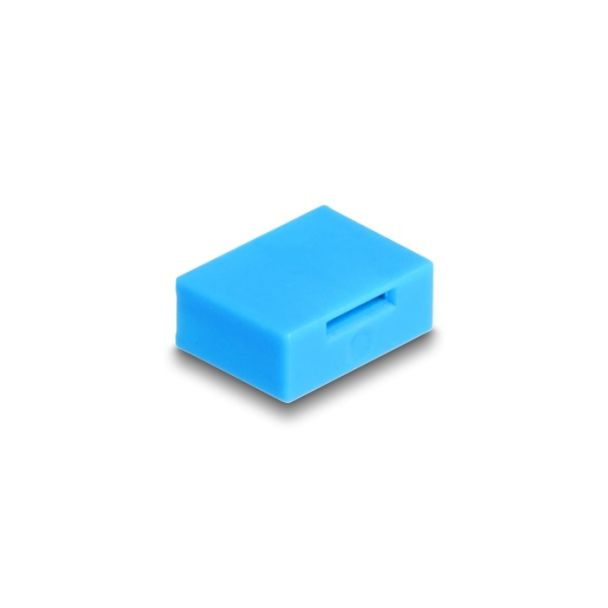 DeLOCK 10 Blocco porta per porta USB Tipa-A femmina