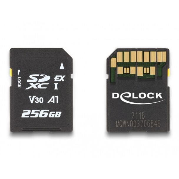 DeLOCK SD Express memory card 256 GB