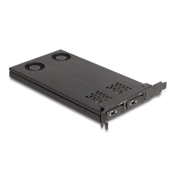 DeLOCK PCI Express x16 Card Mobile Rack for 2 x M.2 NVMe SSD - Bifurcation