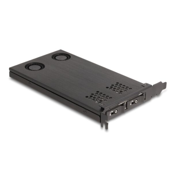 DeLOCK PCI Express x16 Scheda Mobile Rack per 2 x M.2 NVMe SSD - Biforcazione