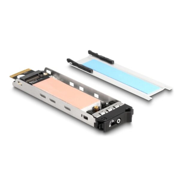 DeLOCK Vassoio interno Rack mobile 1 x M.2 NVMe SSD per Mobile Rack 47028 / 47042 / 47070 / 47072 / 47111 / 47117 / 47126 / 47129