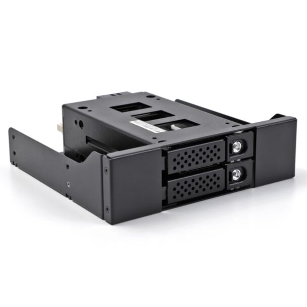 DeLOCK Bay rack mobile sottile per 2 x SSD da 2.5″ U.2 NVMe con telaio da 5.25″