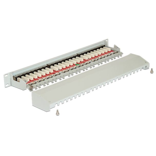 DeLOCK 43319 pezzo di pannello 1U