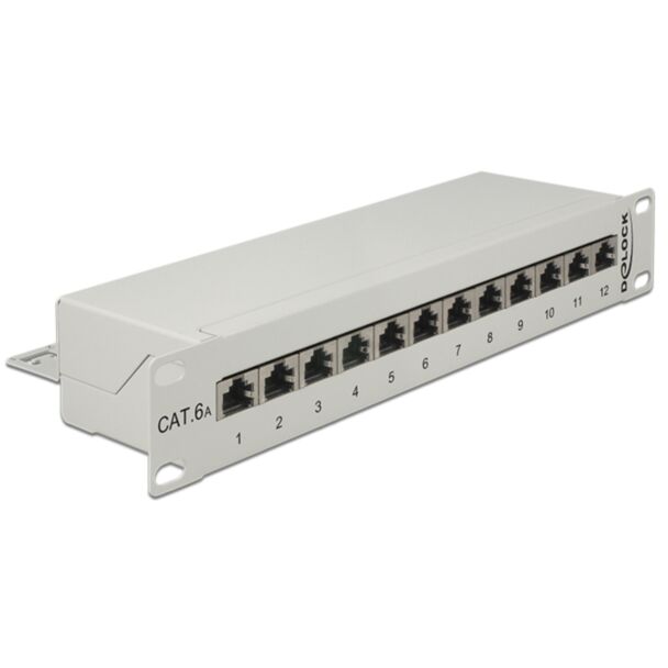 DeLOCK 43308 pezzo di pannello 1U