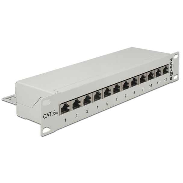 DeLOCK 43308 patch panel 1U