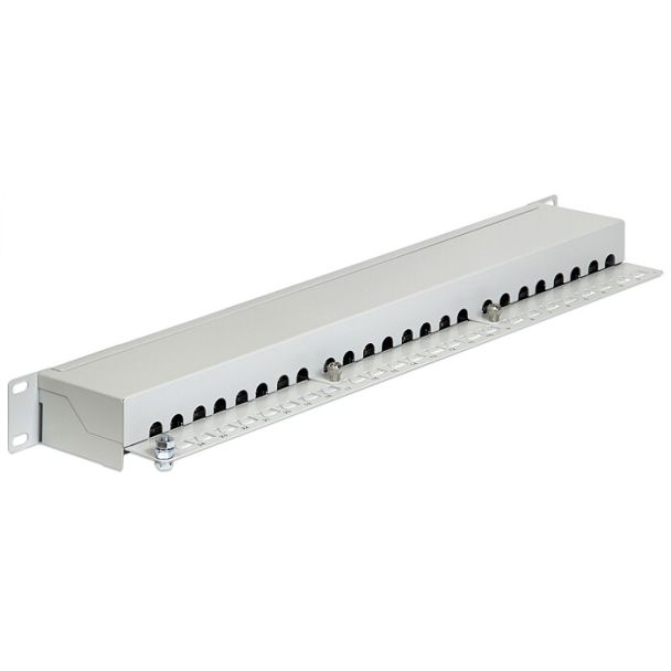 DeLOCK 43300 pezzo di pannello 1U