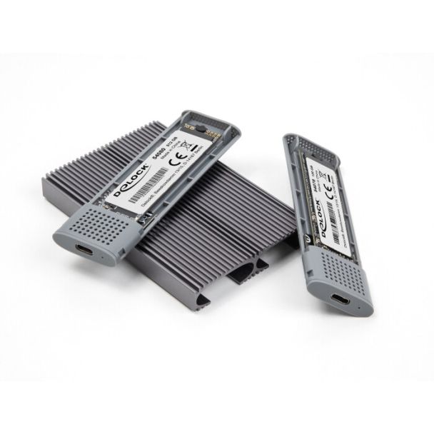 DeLOCK Alloggiamento esterno USB Type-C Dual Combo per 2 x unità SSD M.2 NVMe PCIe o SATA - senza attrezzi