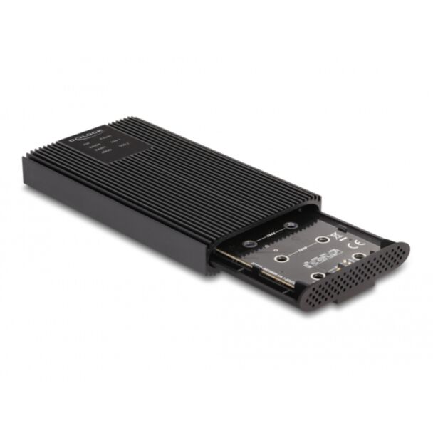 DeLOCK Alloggiamento esterno USB 20 Gbps per 2 x M.2 NVMe PCIe SSD con USB Type-C femmina e RAID - strumento gratuito