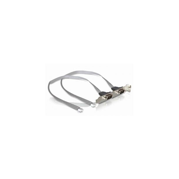 DeLOCK Slot bracket 2 x COM port (2 mm pitch) cavo seriale Argento DB-9