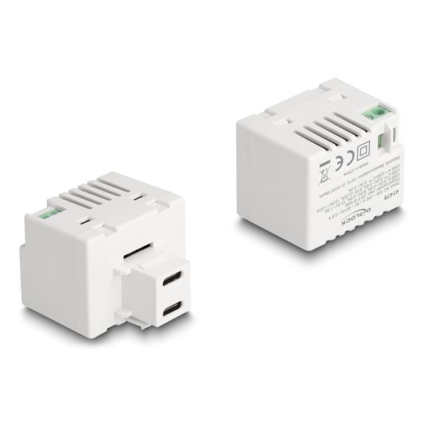 DeLOCK Modulo Keystone con 2 porte di ricarica USB Type-C PD 20 W bianco