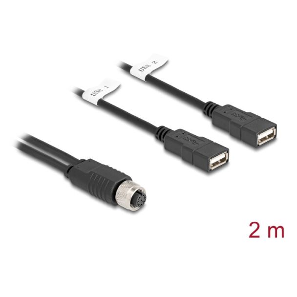 DeLOCK 60291 cavo per sensori e attuatori 2 m M12 2 x USB Type-A Nero