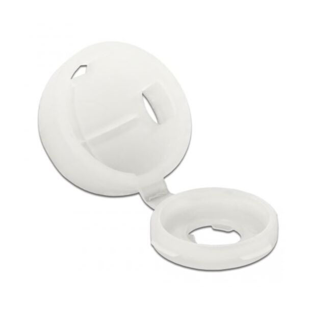 DeLOCK Protective cap for screw M4 natural 10 pieces