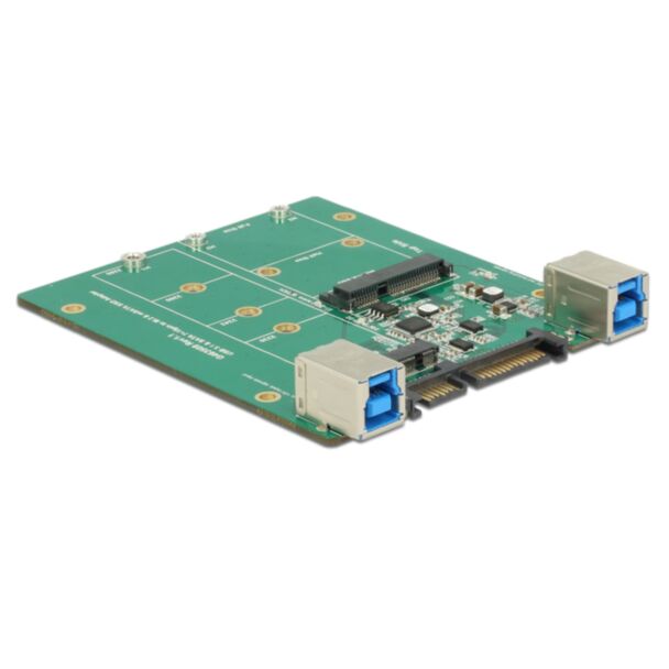DeLOCK 62732 scheda di interfaccia e adattatore Interno M.2, mSATA