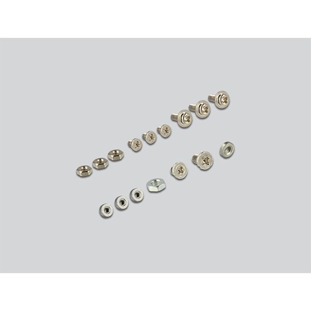 DeLOCK 62670 scheda di interfaccia e adattatore Interno M.2, mSATA