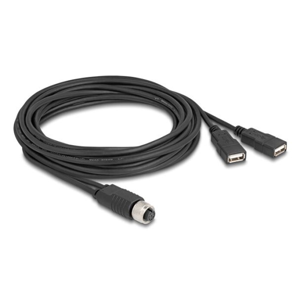 DeLOCK 60651 sensor/actuator cable 3 m M12 2 x USB Type-A Black