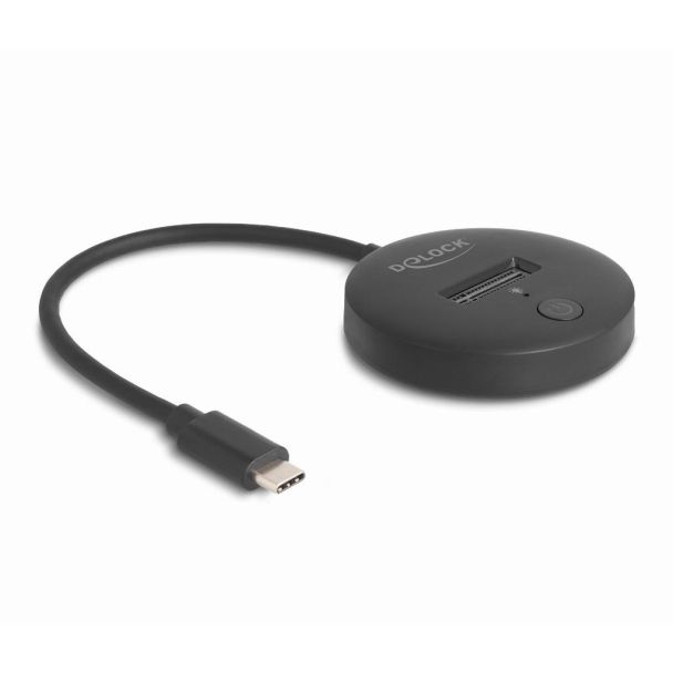 DeLOCK Docking Station M.2 per M.2 NVMe / SATA SSD con USB 10 Gbps USB Type-C maschio