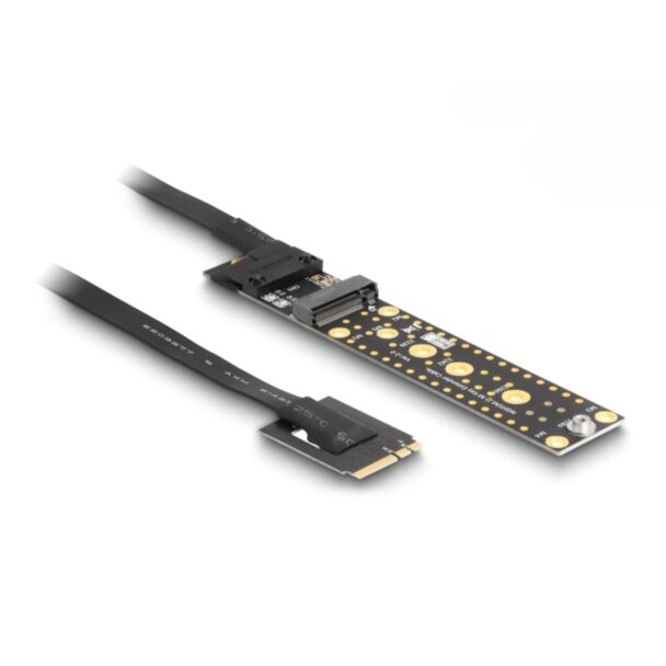 DeLOCK Riser Card NVMe M.2 Key A+E maschio a Key M Slot con cavo da 20 cm