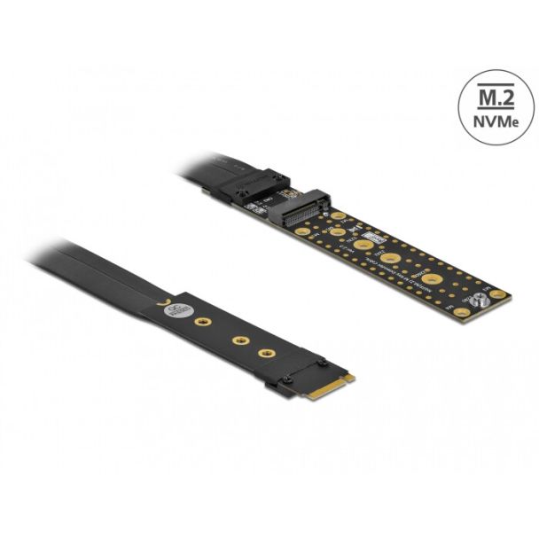 DeLOCK Estensione Riser Card M.2 Key M NVMe con cavo da 20 cm