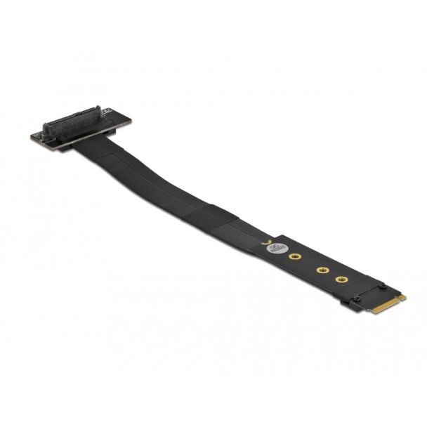 DeLOCK M.2 Key M to U.2 SFF-8639 NVMe Adapter angled with 20 cm cable