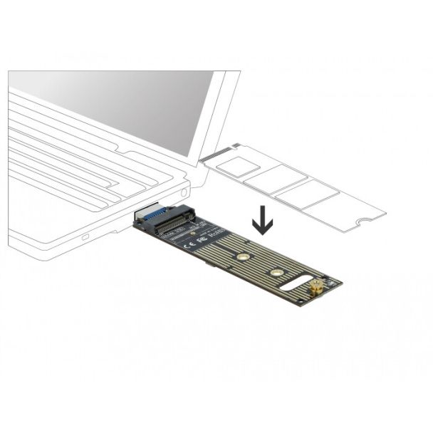 DeLOCK 64069 scheda di interfaccia e adattatore Interno M.2