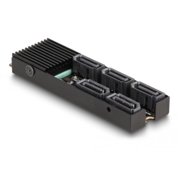 DeLOCK Convertitore M.2 2280 chiave B+M maschio a 5 x SATA con dissipatore di calore
