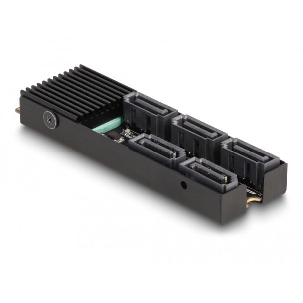 DeLOCK Converter M.2 2280 Key B+M male to 5 x SATA with heat sink