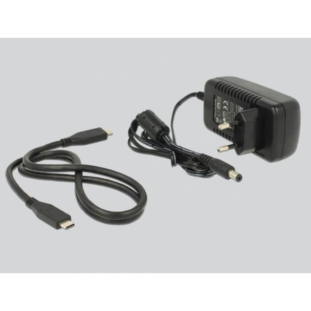 DeLOCK 63958 docking station per unità di archiviazione USB 3.2 Gen 2 (3.1 Gen 2) Type-C Nero