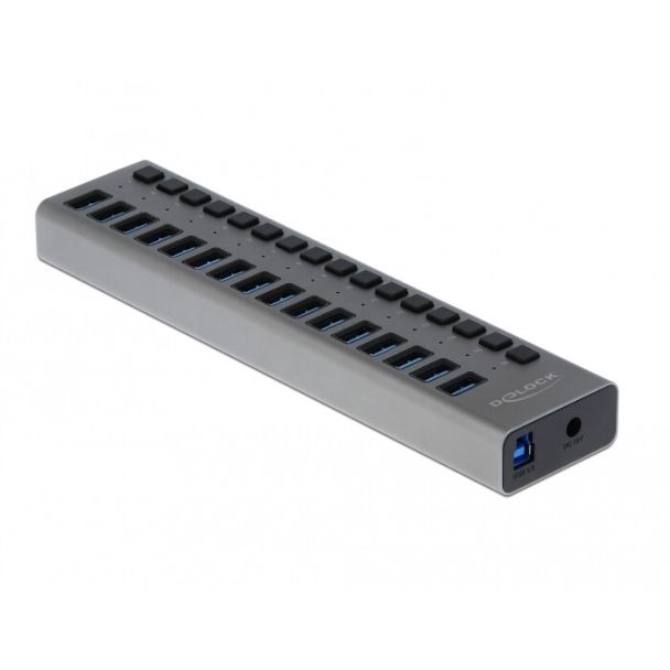 DeLOCK External USB 5 Gbps Hub with 16 Ports + Switch