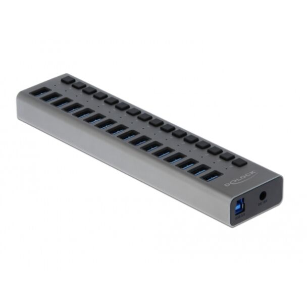 DeLOCK Hub USB 5 Gbps esterno con 16 porte + Switch