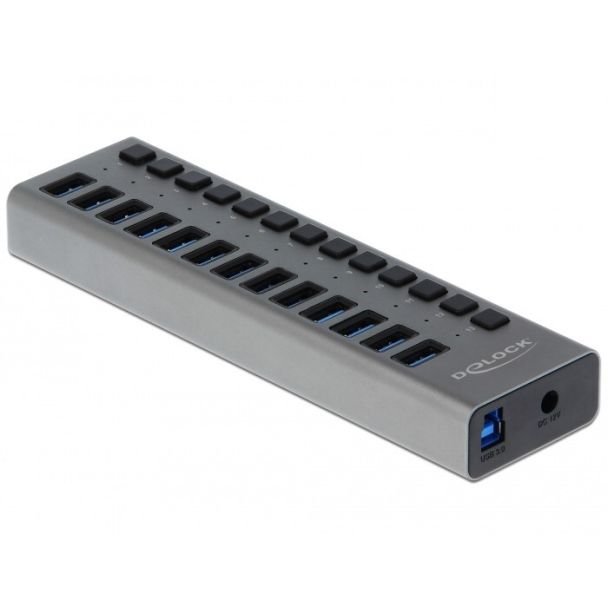 DeLOCK External USB 5 Gbps Hub with 13 Ports + Switch
