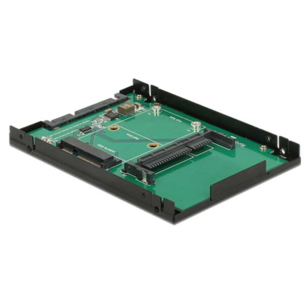 DeLOCK 62862 scheda di interfaccia e adattatore Interno CF, mSATA