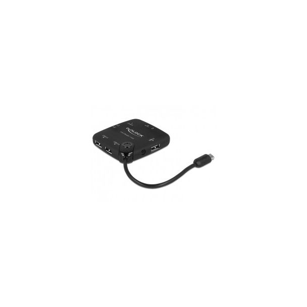 DeLOCK 65529 lettore di schede USB 2.0 Nero