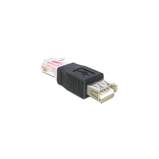 DeLOCK USB - RJ45 USB 2.0 Nero