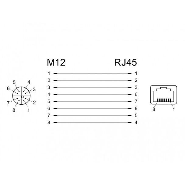 DeLOCK 66316 adattatore per inversione del genere dei cavi M12 RJ45 Nero