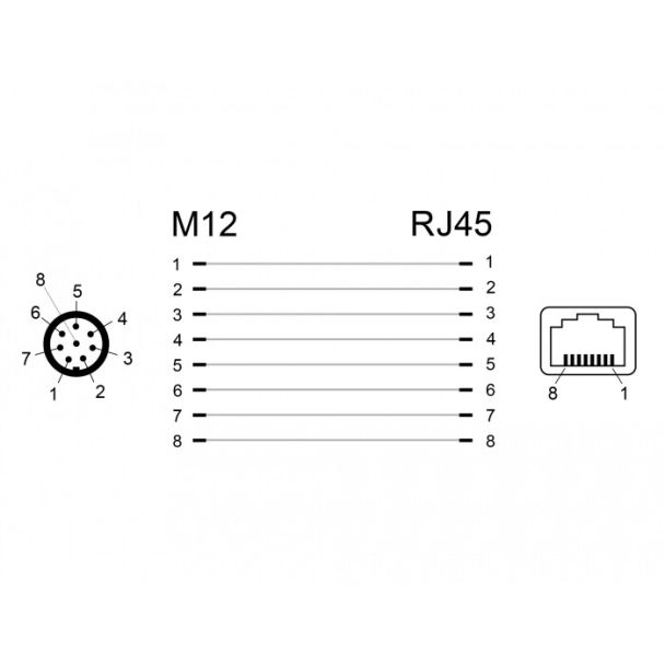 DeLOCK 66315 adattatore per inversione del genere dei cavi M12 RJ45 Nero